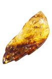 Amber brooch “Autumn leaf”