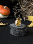 Ring PS696-002