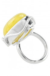 Ring PS309-001