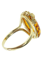 Ring PS758-002