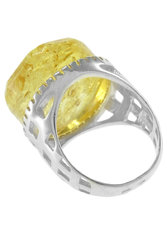 Ring PS7129R1-001