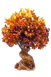 Amber tree SUV000856-023