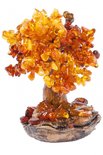 Amber tree SUV000537-001