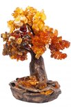Amber tree SUV000533-001