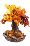 Amber tree SUV000532-001