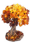 Amber tree SUV000620-001