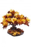 Amber tree SUV000415