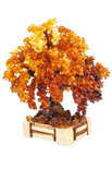 Amber tree SUV000856-011