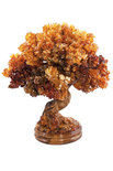 Amber tree SUV000856-140