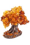 Amber tree SUV000325
