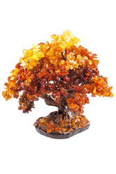 Amber tree SUV000854-001