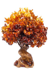 Amber tree SUV000856-023