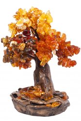 Amber tree SUV000533-001
