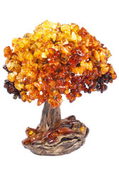 Amber tree SUV000620-001