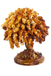 Amber bonsai tree