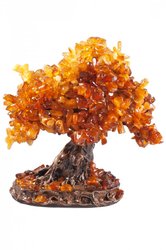 Amber tree SUV000325