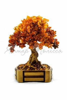 Amber tree Д-01-Я