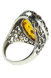 Ring PS785-002