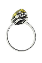 Ring PS838-001