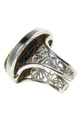 Ring PS806-002