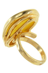 Ring PS684-002