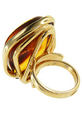 Ring PS647-002
