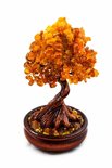 Amber tree Д-26-Я