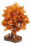 Amber tree SUV000154
