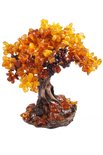 Amber tree SUV000072