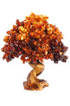 Amber tree SUV000856-032