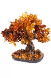 Amber tree SUV000597-001
