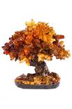 Amber tree SUV000597-001
