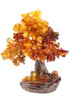 Amber tree SUV000535-001