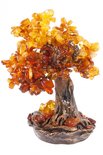 Amber tree SUV000535-001