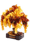 Amber tree SUV000854-003