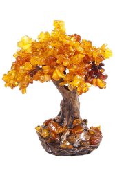 Amber tree SUV000072