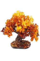 Amber tree SUV000854-001