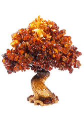 Amber tree SUV000856-032