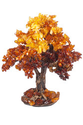 Amber tree SUV000791-001