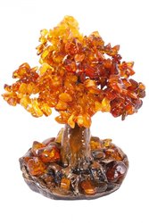 Amber tree SUV000538-001