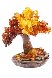 Amber tree SUV000538-001