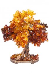 Amber tree SUV000566-001