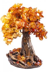 Amber tree SUV000531-001