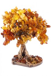 Amber tree SUV000534-001