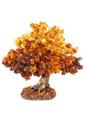 Amber tree SUV000633-001