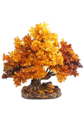 Amber tree SUV000856-010