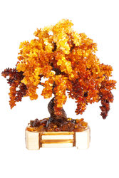 Amber tree SUV000856-011