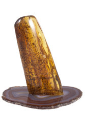 Amber souvenir with inclusion on a stand